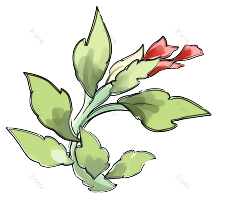 叶子图片,装饰元素,金融PNG,母亲节免抠素材